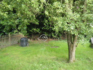 backyardboo